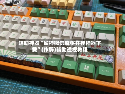 辅助神器“雀神微信麻将开挂神器下载”(作弊)辅助透视教程-第2张图片