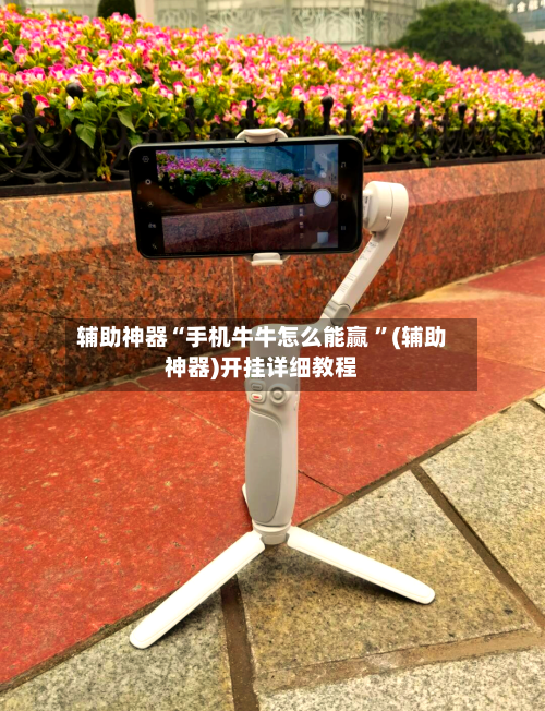 辅助神器“手机牛牛怎么能赢 	”(辅助神器)开挂详细教程-第2张图片