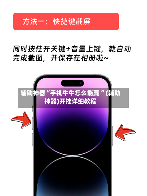 辅助神器“手机牛牛怎么能赢 ”(辅助神器)开挂详细教程-第3张图片