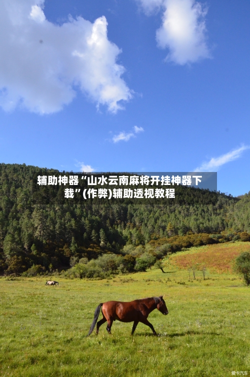 辅助神器“山水云南麻将开挂神器下载”(作弊)辅助透视教程