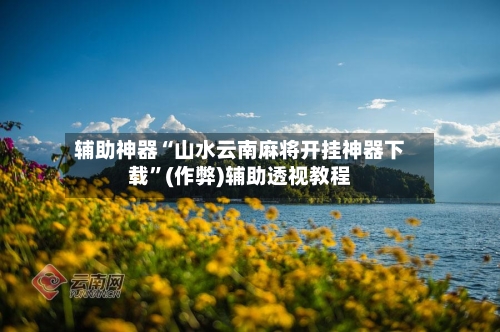 辅助神器“山水云南麻将开挂神器下载”(作弊)辅助透视教程-第2张图片