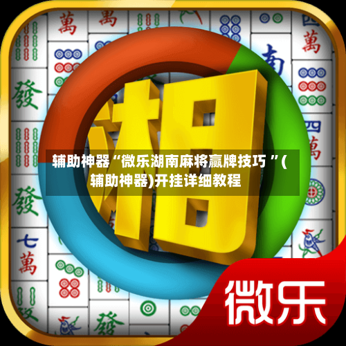 辅助神器“微乐湖南麻将赢牌技巧 	”(辅助神器)开挂详细教程-第2张图片