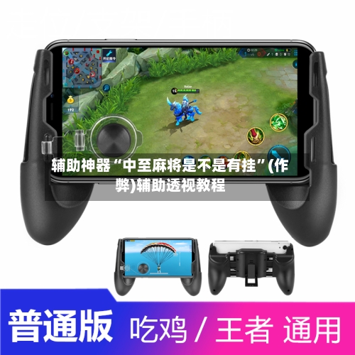 辅助神器“中至麻将是不是有挂”(作弊)辅助透视教程-第3张图片