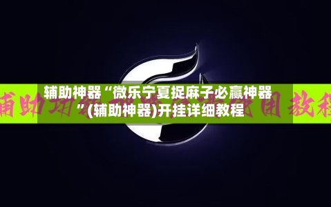辅助神器“微乐宁夏捉麻子必赢神器 ”(辅助神器)开挂详细教程-第3张图片