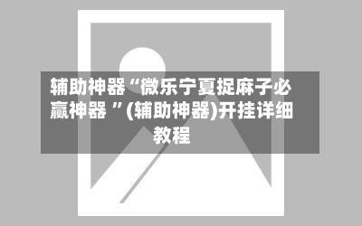 辅助神器“微乐宁夏捉麻子必赢神器 ”(辅助神器)开挂详细教程-第2张图片