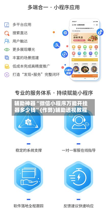 辅助神器“微信小程序万能开挂器多少钱”(作弊)辅助透视教程-第2张图片