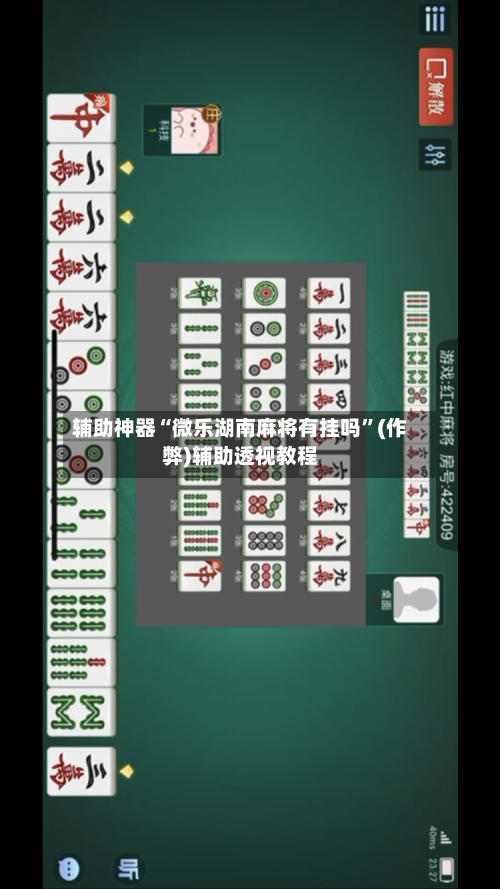辅助神器“微乐湖南麻将有挂吗”(作弊)辅助透视教程-第3张图片