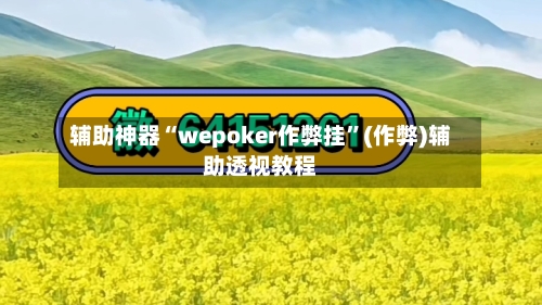辅助神器“wepoker作弊挂”(作弊)辅助透视教程