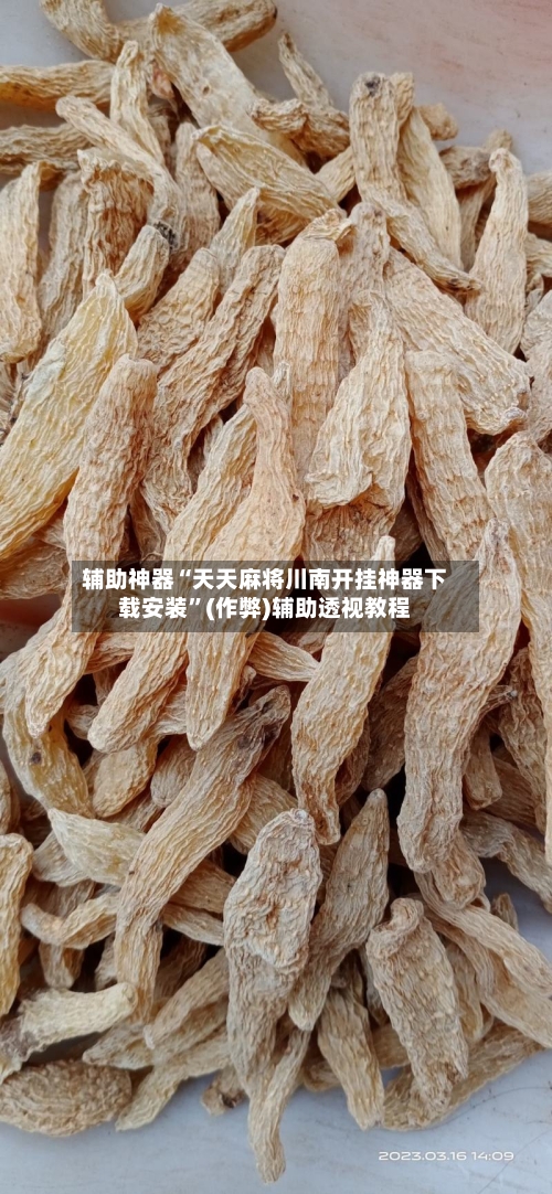 辅助神器“天天麻将川南开挂神器下载安装”(作弊)辅助透视教程-第2张图片