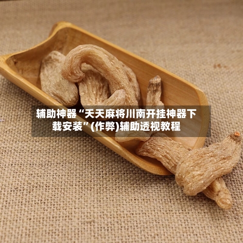 辅助神器“天天麻将川南开挂神器下载安装”(作弊)辅助透视教程