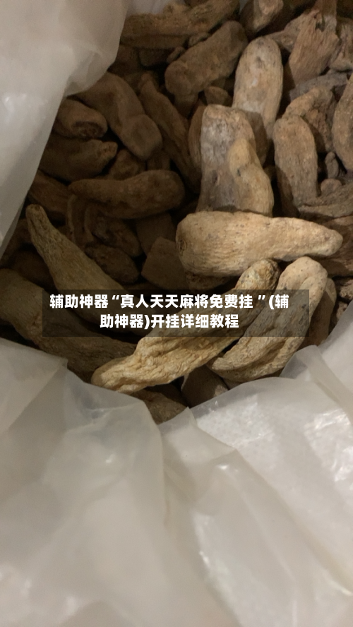 辅助神器“真人天天麻将免费挂 ”(辅助神器)开挂详细教程-第2张图片