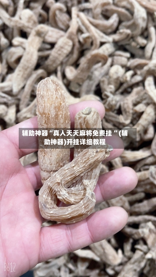 辅助神器“真人天天麻将免费挂 ”(辅助神器)开挂详细教程