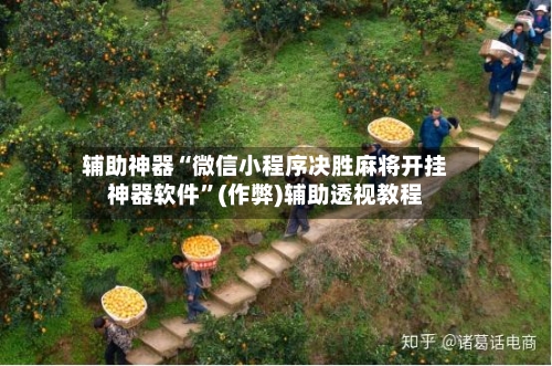 辅助神器“微信小程序决胜麻将开挂神器软件”(作弊)辅助透视教程-第3张图片