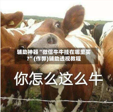 辅助神器“微信牛牛挂在哪里买?”(作弊)辅助透视教程-第2张图片