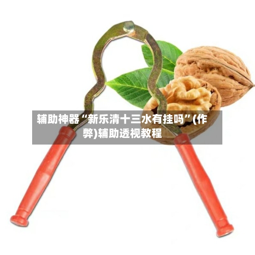 辅助神器“新乐清十三水有挂吗”(作弊)辅助透视教程-第2张图片