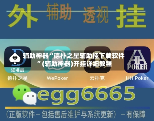 辅助神器“德扑之星辅助挂下载软件 ”(辅助神器)开挂详细教程