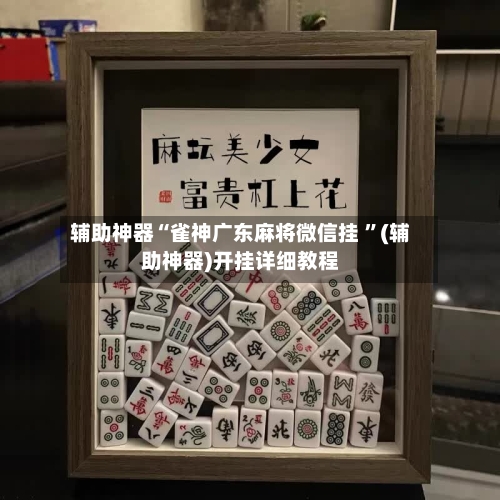 辅助神器“雀神广东麻将微信挂 ”(辅助神器)开挂详细教程-第2张图片