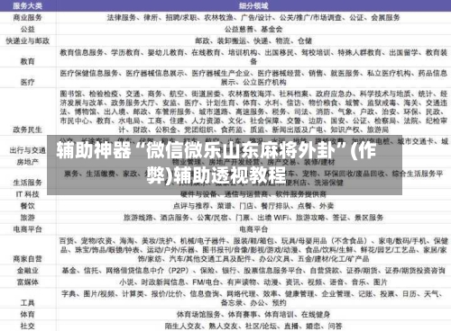 辅助神器“微信微乐山东麻将外卦”(作弊)辅助透视教程