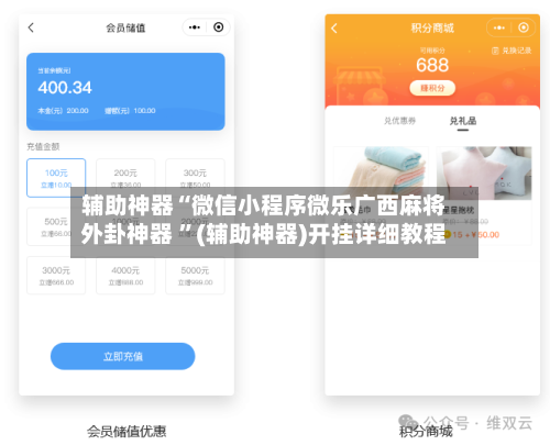 辅助神器“微信小程序微乐广西麻将外卦神器 ”(辅助神器)开挂详细教程-第2张图片