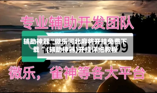 辅助神器“微乐河北麻将开挂免费下载 ”(辅助神器)开挂详细教程-第2张图片