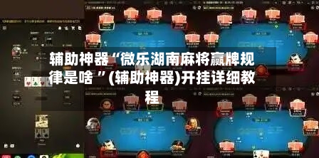 辅助神器“微乐湖南麻将赢牌规律是啥 	”(辅助神器)开挂详细教程-第3张图片