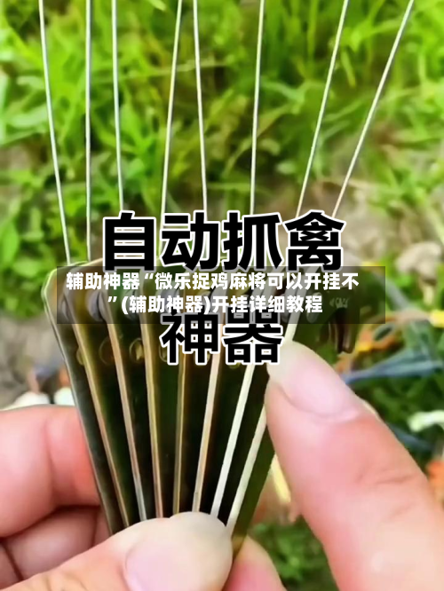 辅助神器“微乐捉鸡麻将可以开挂不 ”(辅助神器)开挂详细教程-第2张图片
