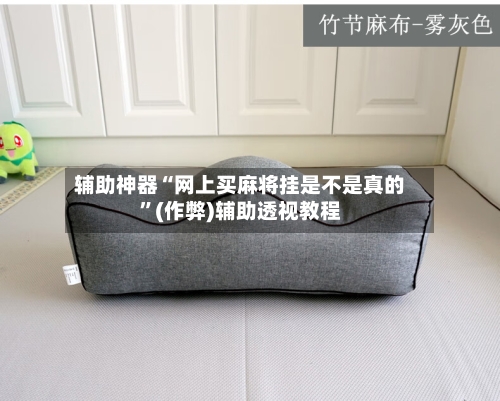 辅助神器“网上买麻将挂是不是真的”(作弊)辅助透视教程-第3张图片