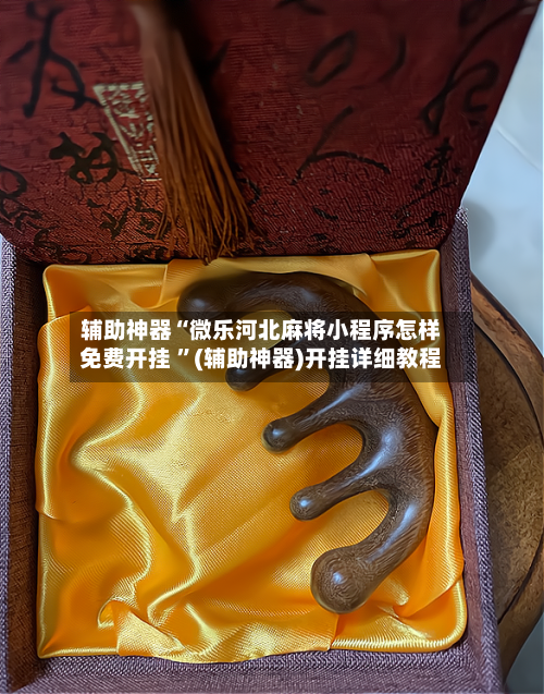 辅助神器“微乐河北麻将小程序怎样免费开挂 ”(辅助神器)开挂详细教程-第2张图片