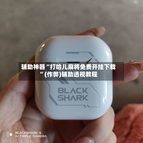 辅助神器“打哈儿麻将免费开挂下载”(作弊)辅助透视教程-第2张图片