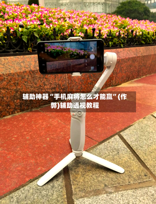 辅助神器“手机麻将怎么才能赢”(作弊)辅助透视教程-第2张图片