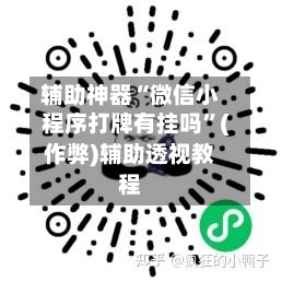 辅助神器“微信小程序打牌有挂吗”(作弊)辅助透视教程-第3张图片
