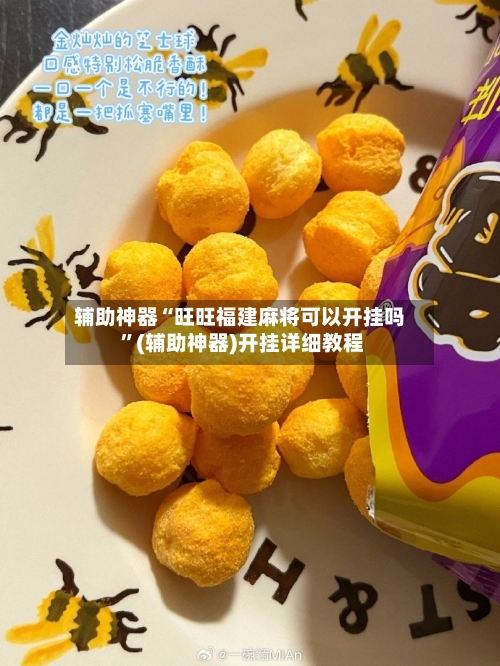 辅助神器“旺旺福建麻将可以开挂吗 ”(辅助神器)开挂详细教程-第3张图片