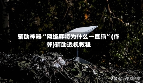 辅助神器“网络麻将为什么一直输”(作弊)辅助透视教程-第3张图片