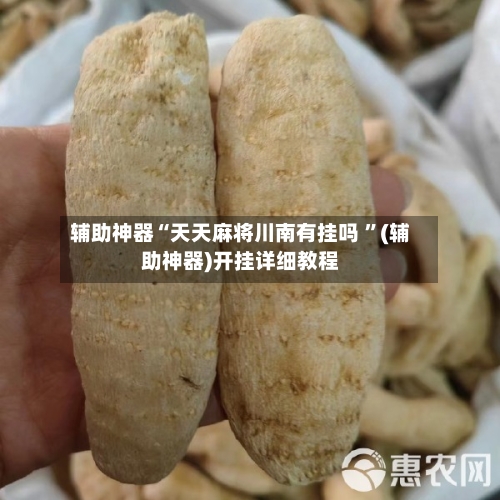 辅助神器“天天麻将川南有挂吗 ”(辅助神器)开挂详细教程-第3张图片