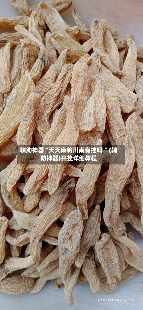 辅助神器“天天麻将川南有挂吗 ”(辅助神器)开挂详细教程