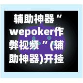 辅助神器“wepoker作弊视频 ”(辅助神器)开挂详细教程-第3张图片