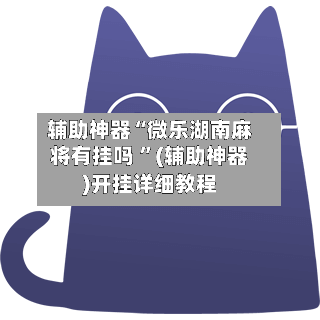 辅助神器“微乐湖南麻将有挂吗 ”(辅助神器)开挂详细教程-第2张图片