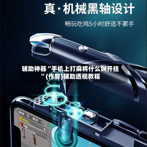 辅助神器“手机上打麻将什么叫开挂	”(作弊)辅助透视教程-第2张图片