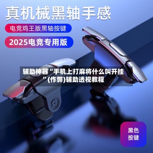 辅助神器“手机上打麻将什么叫开挂”(作弊)辅助透视教程-第3张图片