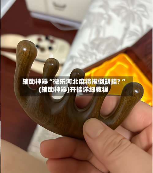 辅助神器“微乐河北麻将推倒胡挂? ”(辅助神器)开挂详细教程-第2张图片