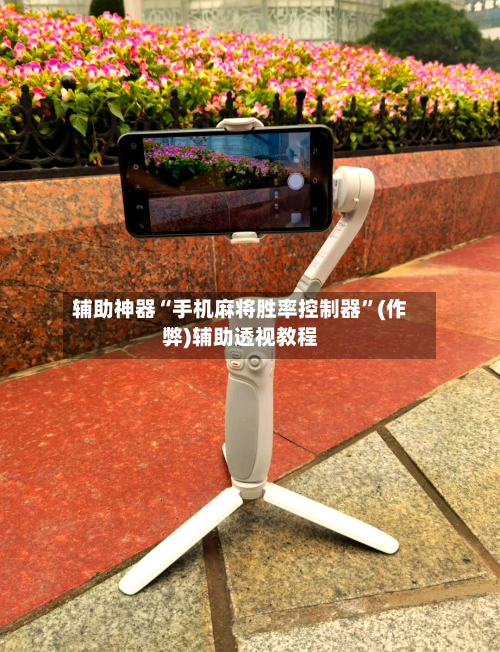 辅助神器“手机麻将胜率控制器	”(作弊)辅助透视教程-第3张图片