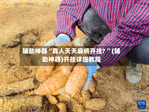 辅助神器“真人天天麻将开挂? ”(辅助神器)开挂详细教程