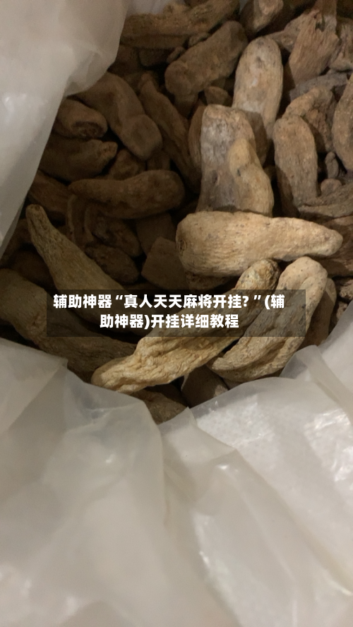 辅助神器“真人天天麻将开挂? 	”(辅助神器)开挂详细教程-第2张图片