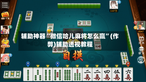 辅助神器“微信哈儿麻将怎么赢”(作弊)辅助透视教程-第2张图片