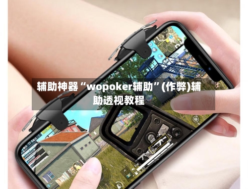辅助神器“wopoker辅助”(作弊)辅助透视教程-第3张图片