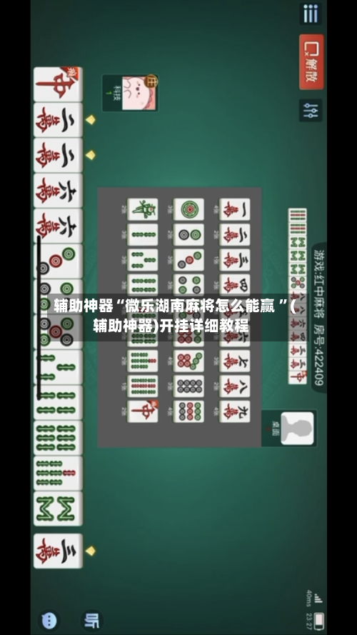 辅助神器“微乐湖南麻将怎么能赢 ”(辅助神器)开挂详细教程-第2张图片