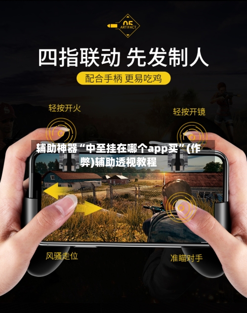 辅助神器“中至挂在哪个app买”(作弊)辅助透视教程-第3张图片