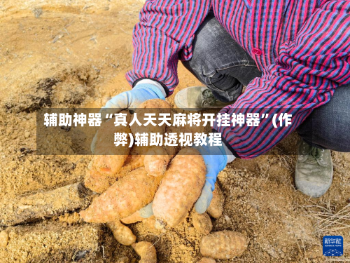 辅助神器“真人天天麻将开挂神器	”(作弊)辅助透视教程-第2张图片