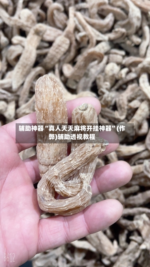 辅助神器“真人天天麻将开挂神器”(作弊)辅助透视教程-第3张图片