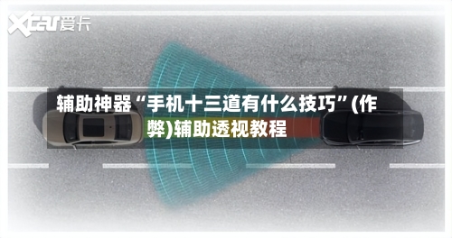 辅助神器“手机十三道有什么技巧”(作弊)辅助透视教程-第2张图片